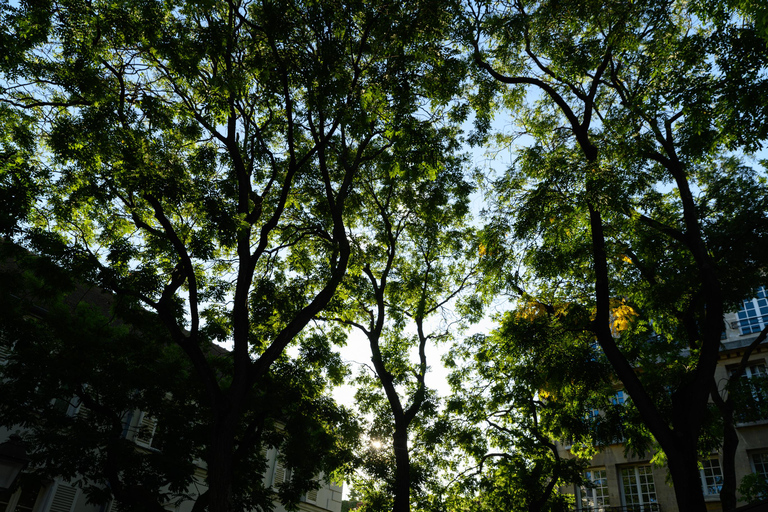 Paris: Experience the romance of Montmartre on a walk with a pro photographer Paris: Experience romance in Montmartre, a walk with a photographer in English