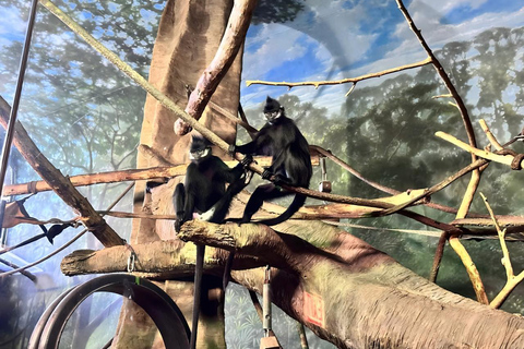 Chicago: A Guided Walking Tour of Lincoln Park Zoo