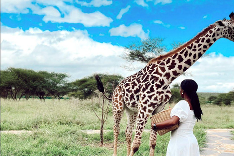 Arusha: Excursión de un día al Parque Nacional del Kilimanjaro con gatos serval