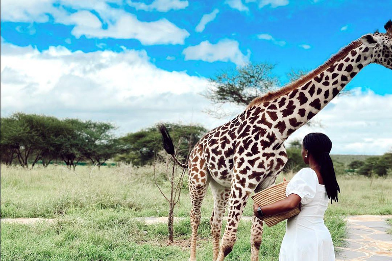 Arusha: Excursión de un día al Parque Nacional del Kilimanjaro con gatos serval