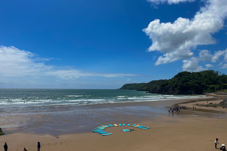 From Cardiff: Gower Peninsula, Finest Cliffs of South Wales