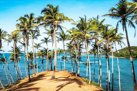 Sri Lanka : Grand tour de 15 jours avec vacances