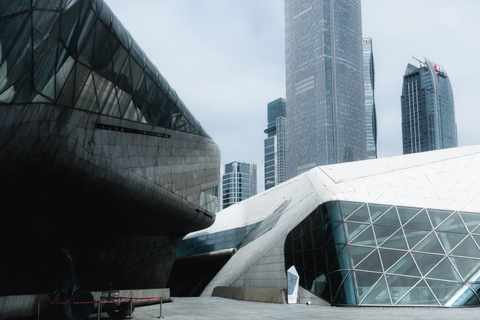 Guangzhou: Private Luxury Vehicle Tour - English or Spanish Guangzhou 8 Hour Tour - VOYAH DREAMPOWER/Buick