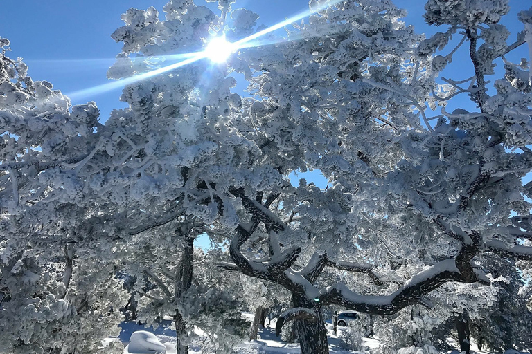 Grand Canyon National Park: 2-Hour Small-Group Hummer Tour