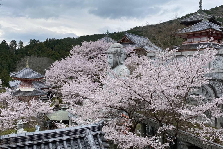 From Osaka: Mt. Yoshino Cherry Blossoms & Nara Deer Day Trip