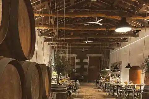 Porto: Cruzeiro na Régua com Passeio de Comboio e Prova de Vinhos
