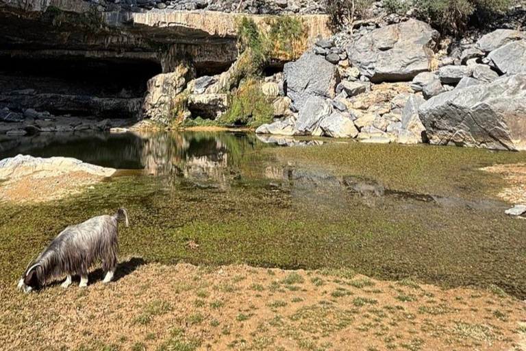 Muscat: Jebel Shams Balcony Walk & Wadi Nakhr Shared Tour