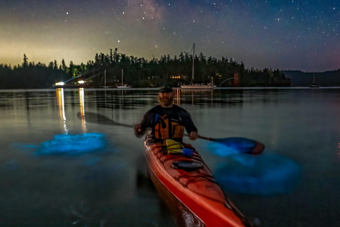 Fort Flagler, WA: Bioluminescence Kayak Tour