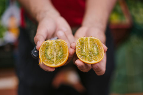 Medellín: Guided Exotic Fruits Tour