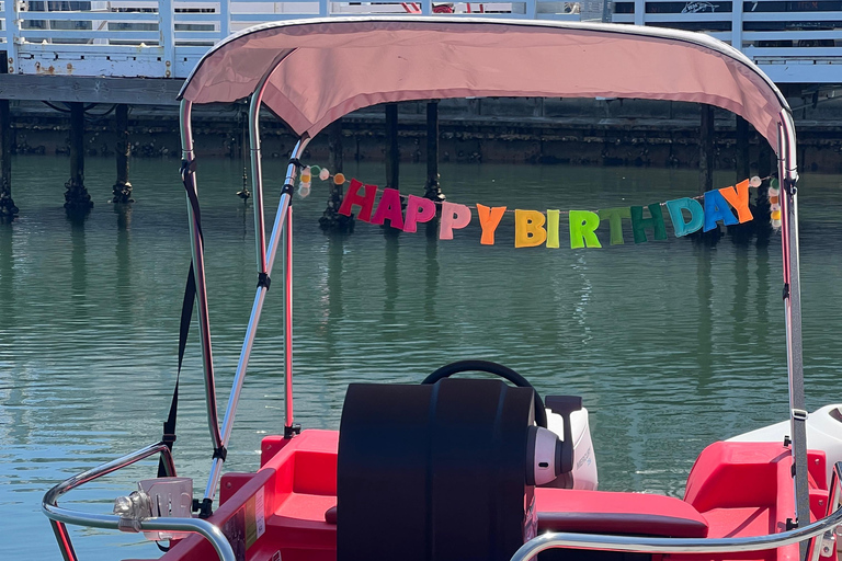 San Diego: Alquiler de barco eléctrico con parasol