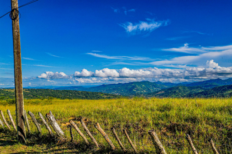 Puerto Plata: Greek Residence and Rum Museum Guided Tour