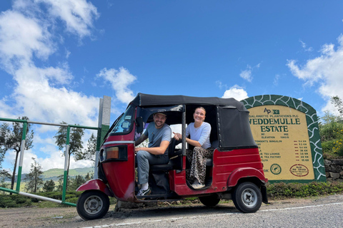 Ramboda falls to Nuwara Eliya drop off with Tea Factorys