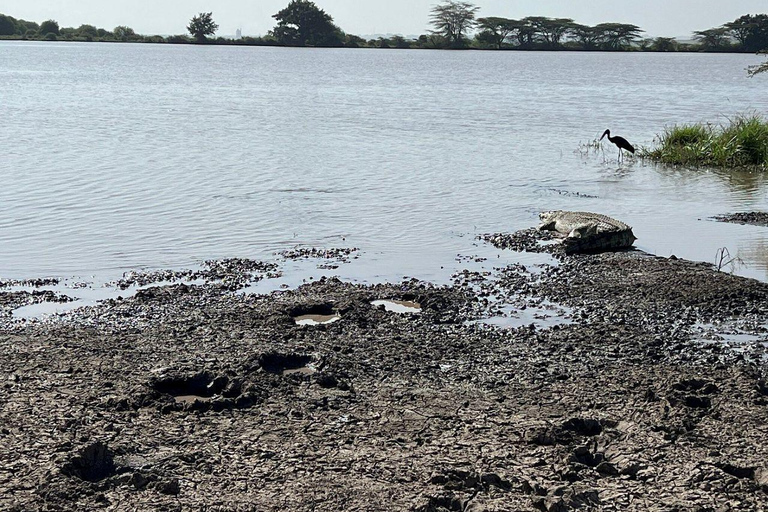 Nairobi National Park: Early Morning or afternoon adventure Early morning game drive in a Landcruiser JEEP