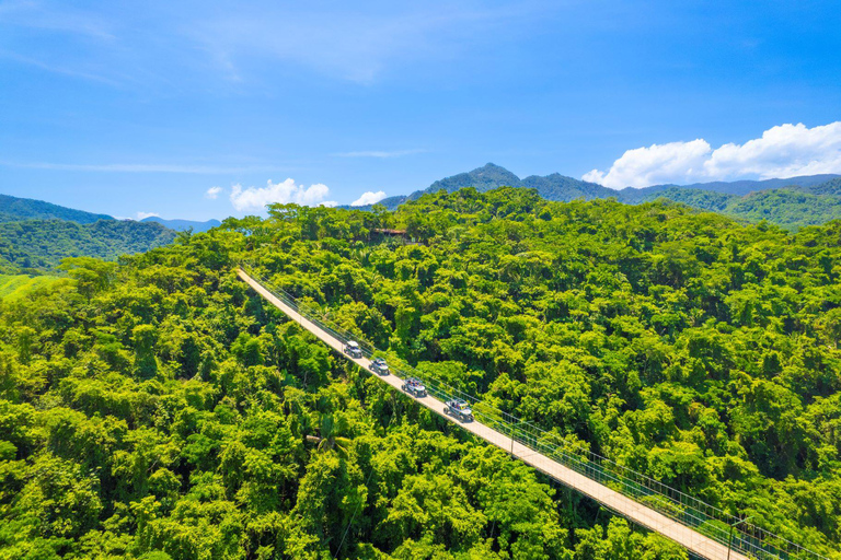 Puerto Vallarta: Ultimate RZR Jungle & Waterfall Adventure RZR: Group of 3-4 Passengers