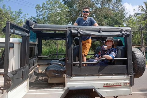 Kandy: Sigiriya Rock Fortress & Dambulla Cave Temple Tour