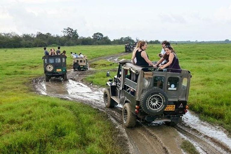 From Colombo: Wilpattu Leopard Safari Private Tour Wilpattu Leopard Safari Private Day Tour