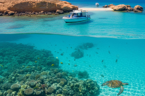 Daymaniyat Snorkeling with Photography & Onboard Ambience