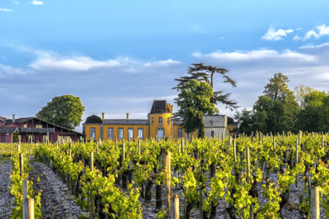 Bordeaux Private Shore Excursion: Médoc Wine Experience