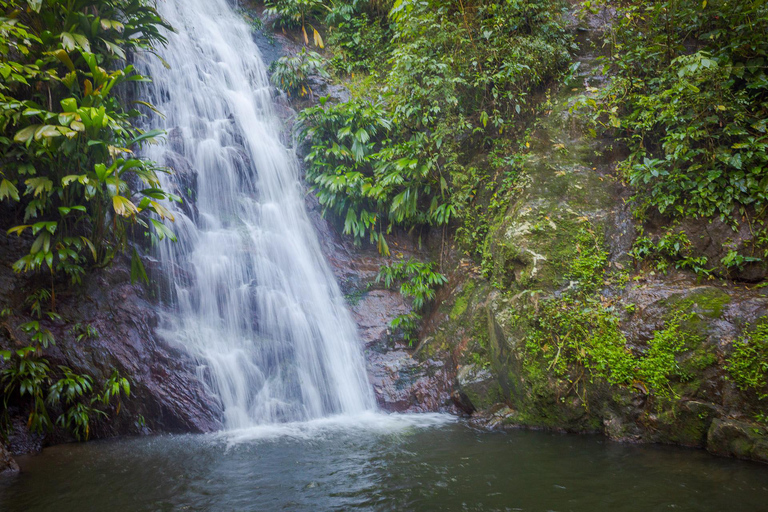 MINCA - TOUR 5 CASCADAS