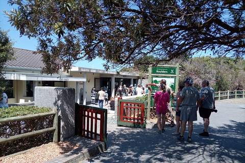 Cape town:Cape of good hope afternoon tour/penguins