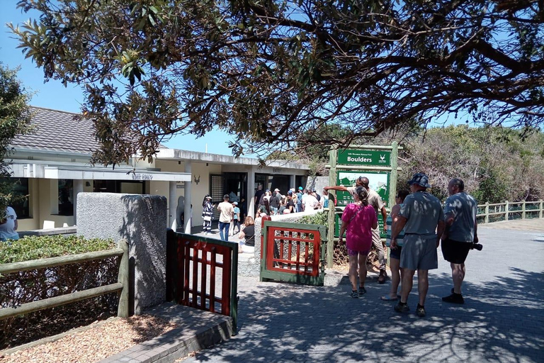 Cape town:Cape of good hope afternoon tour/penguins