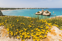Van Tour Adriatic Coast da Roca a Otranto - Housity