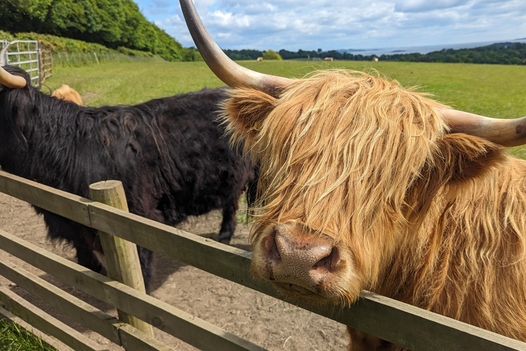 Tour di 3 giorni dell&#039;isola di Skye, Glencoe, Inverness e Loch Ness3 Day Tour of Isle of Skye, Glencoe &amp; Loch Ness - SPANISH