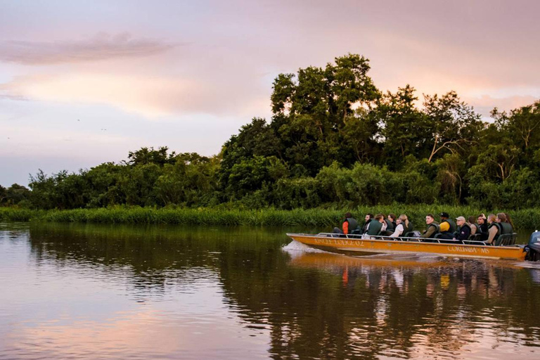 São Paulo: 3-Day Eco Safari Experience in the Pantanal