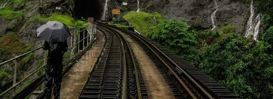Goa : visite d'une journée à la cascade de Dudhsagar et à la plantation d'épices