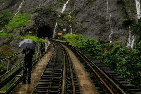 Tour di un giorno della cascata di Dudhsagar e della piantagione di spezie SIC