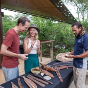 Cairns: Immersive Small Group Indigenous Cultural Experience