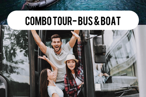 Chicago City Minibus and Riverboat Architecture Combo Tour