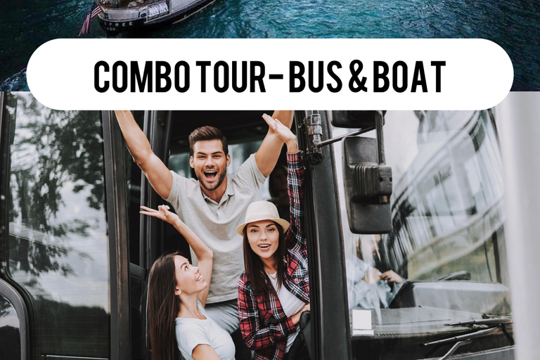 Chicago City Minibus and Riverboat Architecture Combo Tour