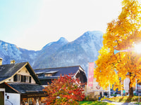 Vienna, Hallstatt & Alpine Peaks Day Trip with Skywalk Lift - Housity