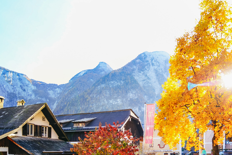 Van Wenen: Hallstatt en Alpentoppen met Skywalk-liftTour vanaf een trefpunt