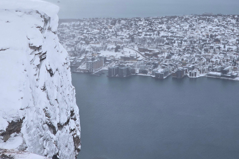 Tromsø: Fjellheisen Local Guided Hike