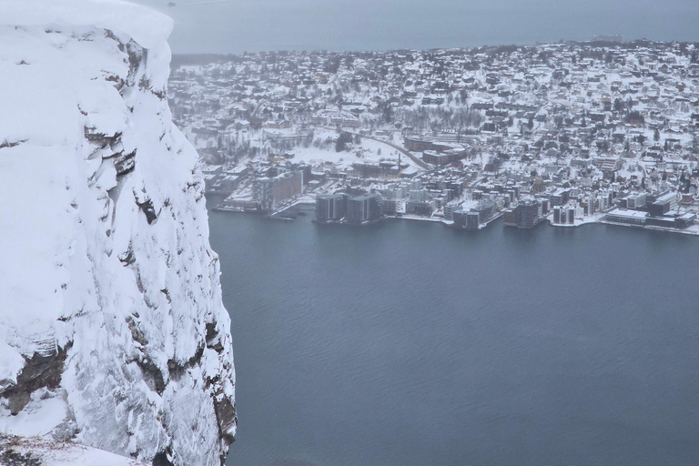 Tromsø: Fjellheisen Local Guided Hike