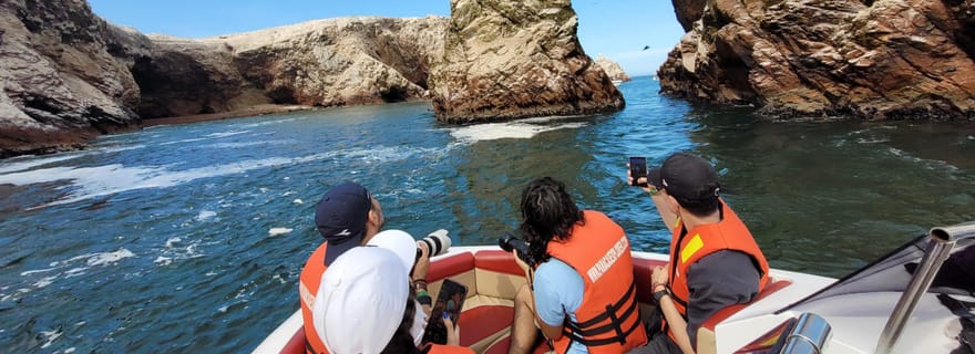 Excursion à Ica-Paracas : Îles, Réserve et Retour