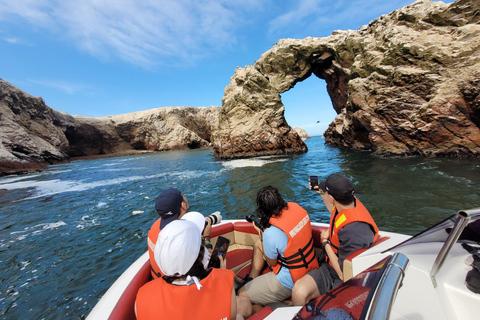 Ica-Paracas Tour: Islands, Reserve & Back