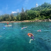 Da Nang: Son Tra Peninsula Snorkeling