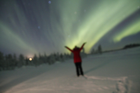 Levi Lapland: Easy E-fatbiking to search Northern Lights