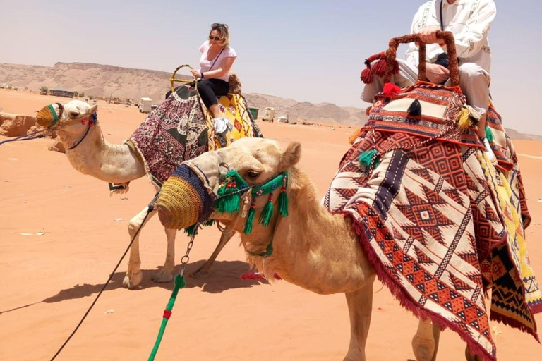 Riad: Aventura en el desierto con paseo en camello y quad