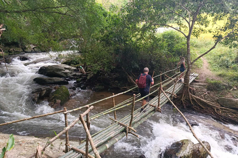 Chiang Mai: Doi Inthanon National Park & Elefantenschutzgebiet