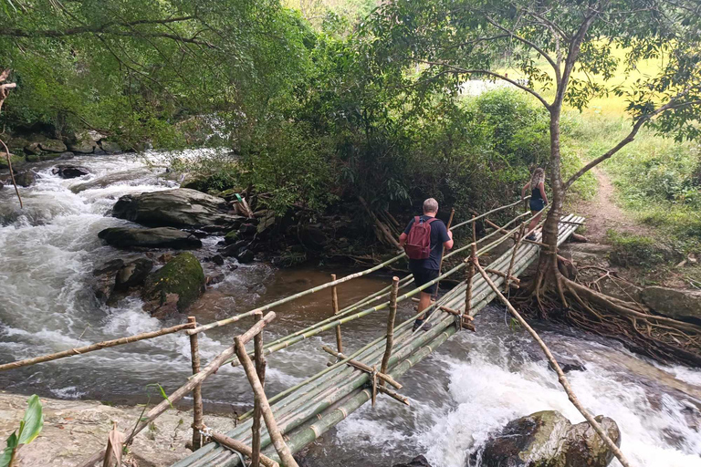 Chiang Mai: Doi Inthanon National Park & Elefantenschutzgebiet