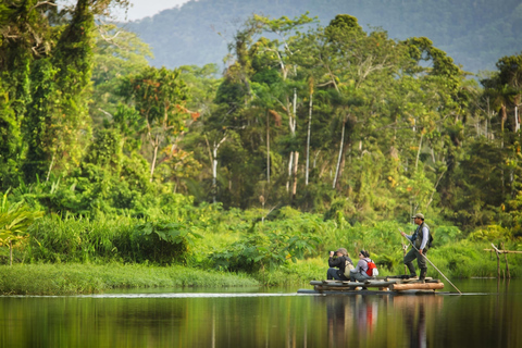From Cusco: Manu National Park 4-Day Wildlife Expedition