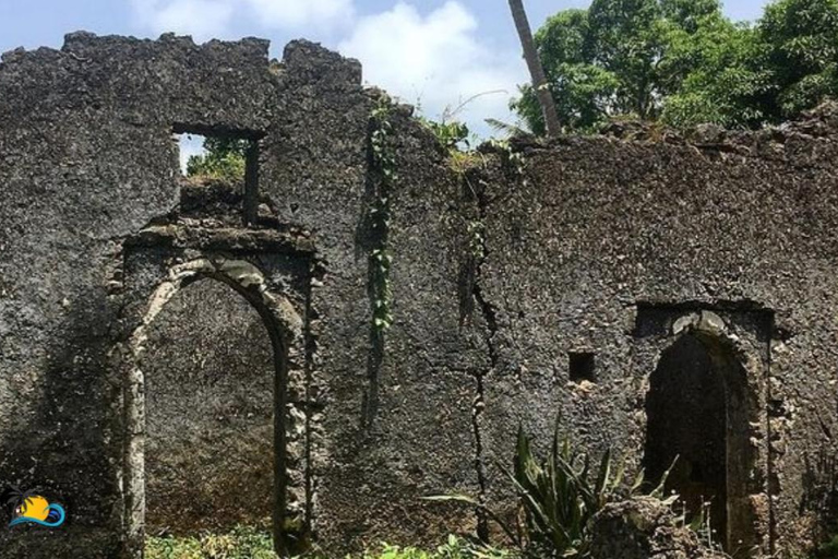 Sansibar: Fukuchani Ruinen und natürliche Höhlen Geführte Tour