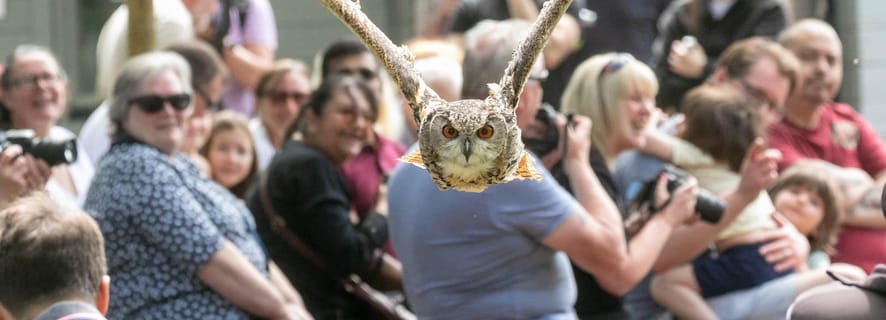 York Bird of Prey Centre