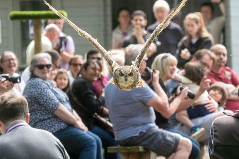 York: Eintritt in das Yorker Greifvogelzentrum