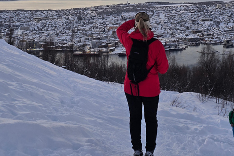 Tromsø: Fjellheisen Local Guided Hike