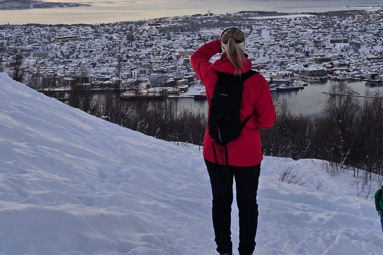 Tromsø: Fjellheisen Local Guided Hike